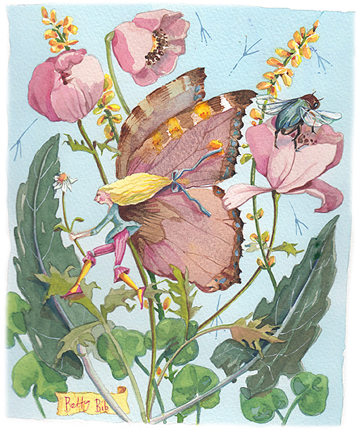 Tortoiseshell Fairy